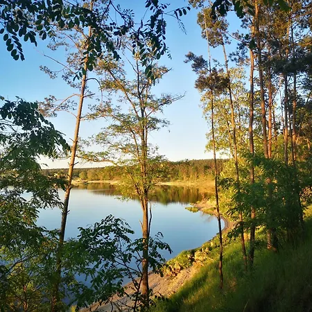 Na Skraju Lasu Bielinek Cedynia