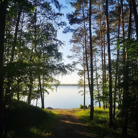 Na Skraju Lasu Bielinek Apartamento