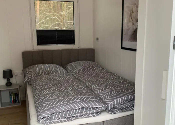 Na Skraju Lasu Bielinek * Cedynia