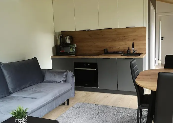 Na Skraju Lasu Bielinek Apartment *