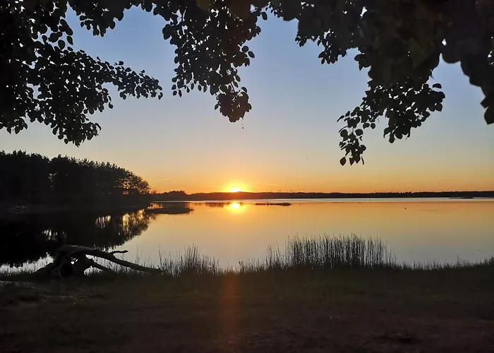 Na Skraju Lasu Bielinek 公寓 Cedynia