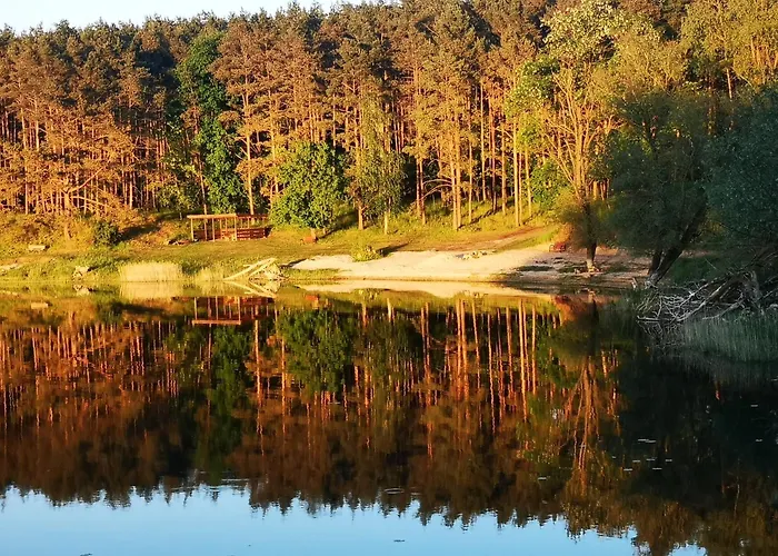 Daire Na Skraju Lasu Bielinek