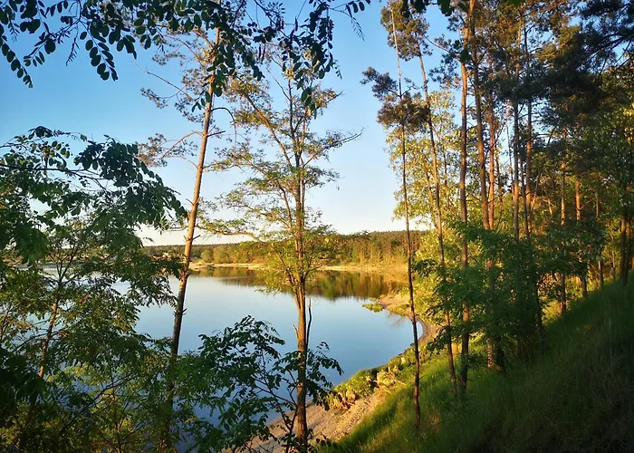 Na Skraju Lasu Bielinek Cedynia