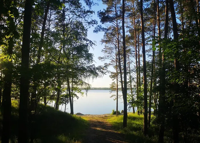 Na Skraju Lasu Bielinek Apartment